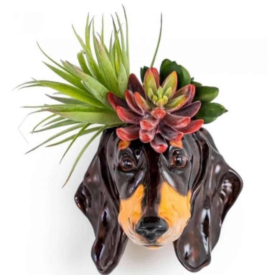 Dashing Dachshund Dog Wall Sconse Planter