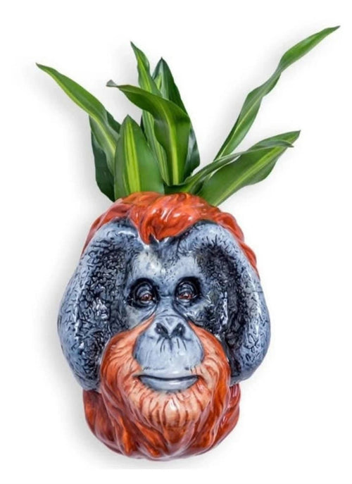 Stunning Orangutan Wall Sconse Planter